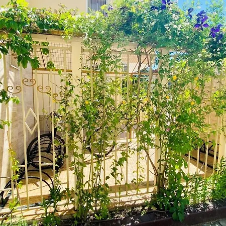 Bratanov Sea Dreams Apartman Napospart